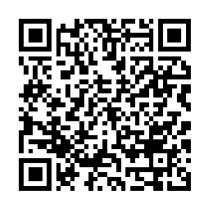 Link to your fundraiser QRCode - Fundraising