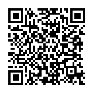 Link to your fundraiser QRCode - Fundraising