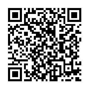 Link to your fundraiser QRCode - Fundraising