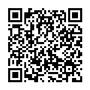 Link to your fundraiser QRCode - Fundraising