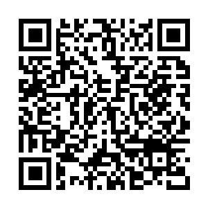 Link to your fundraiser QRCode - Fundraising