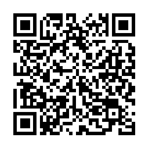 Link to your fundraiser QRCode - Fundraising