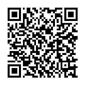 Link to your fundraiser QRCode - Fundraising