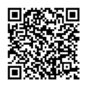 Link to your fundraiser QRCode - Fundraising