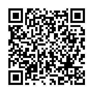 Link to your fundraiser QRCode - Fundraising