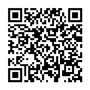 Link to your fundraiser QRCode - Fundraising