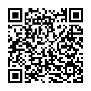 Link to your fundraiser QRCode - Fundraising
