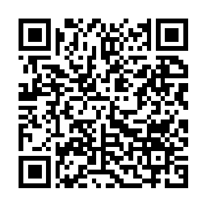 Link to your fundraiser QRCode - Fundraising