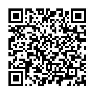 Link to your fundraiser QRCode - Fundraising