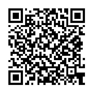 Link to your fundraiser QRCode - Fundraising