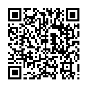 Link to your fundraiser QRCode - Fundraising