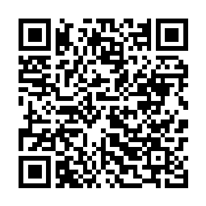 Link to your fundraiser QRCode - Fundraising