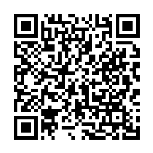 Link to your fundraiser QRCode - Fundraising