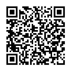 Link to your fundraiser QRCode - Fundraising