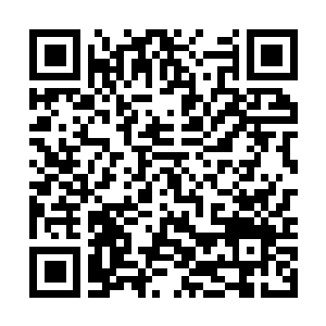Link to your fundraiser QRCode - Fundraising