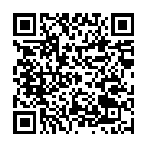 Link to your fundraiser QRCode - Fundraising