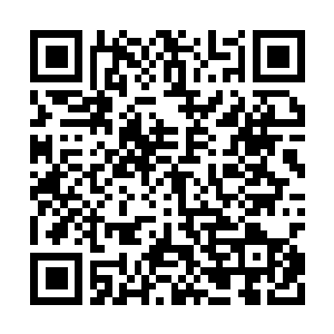 Link to your fundraiser QRCode - Fundraising