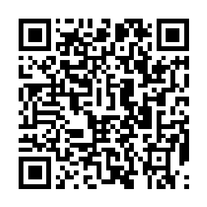 Link to your fundraiser QRCode - Fundraising