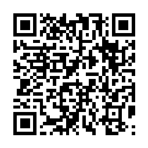 Link to your fundraiser QRCode - Fundraising