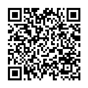 Link to your fundraiser QRCode - Fundraising