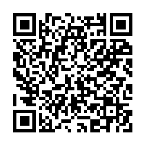 Link to your fundraiser QRCode - Fundraising
