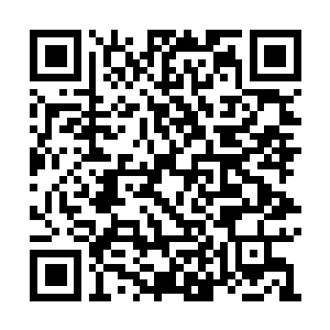 Link to your fundraiser QRCode - Fundraising