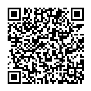 Link to your fundraiser QRCode - Fundraising