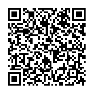 Link to your fundraiser QRCode - Fundraising