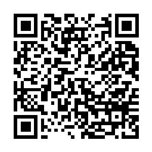 Link to your fundraiser QRCode - Fundraising