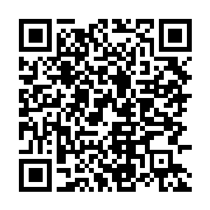 Link to your fundraiser QRCode - Fundraising