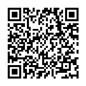 Link to your fundraiser QRCode - Fundraising