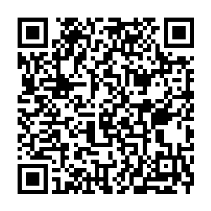 Link to your fundraiser QRCode - Fundraising