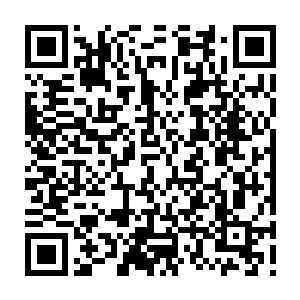 Link to your fundraiser QRCode - Fundraising