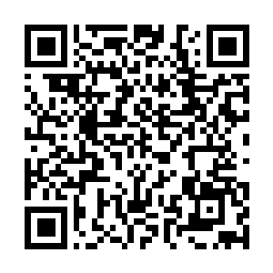 Link to your fundraiser QRCode - Fundraising