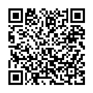 Link to your fundraiser QRCode - Fundraising