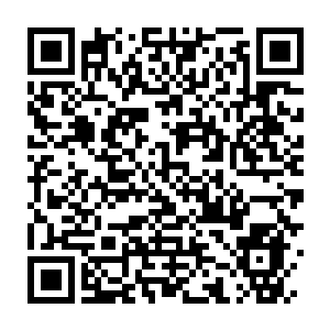 Link to your fundraiser QRCode - Fundraising