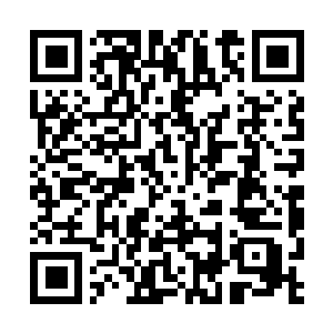 Link to your fundraiser QRCode - Fundraising