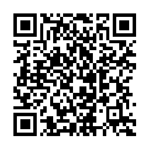 Link to your fundraiser QRCode - Fundraising
