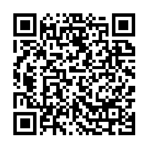 Link to your fundraiser QRCode - Fundraising