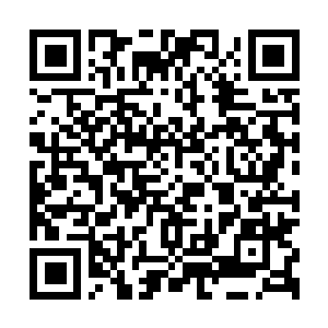 Link to your fundraiser QRCode - Fundraising