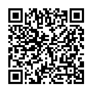 Link to your fundraiser QRCode - Fundraising