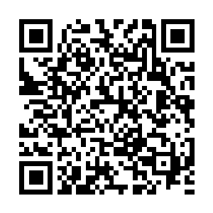 Link to your fundraiser QRCode - Fundraising
