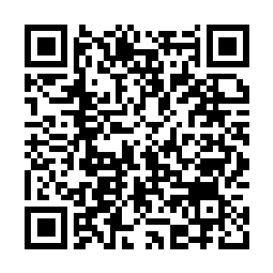 Link to your fundraiser QRCode - Fundraising