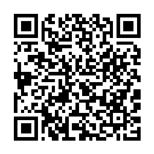 Link to your fundraiser QRCode - Fundraising