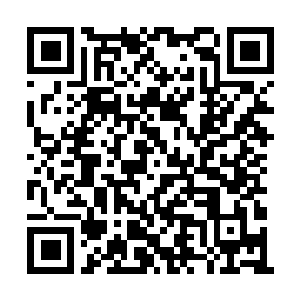 Link to your fundraiser QRCode - Fundraising