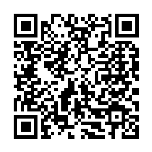 Link to your fundraiser QRCode - Fundraising