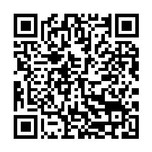 Link to your fundraiser QRCode - Fundraising