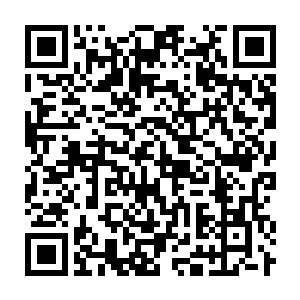 Link to your fundraiser QRCode - Fundraising