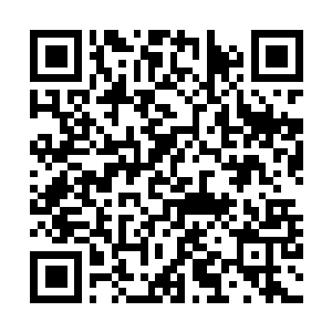 Link to your fundraiser QRCode - Fundraising