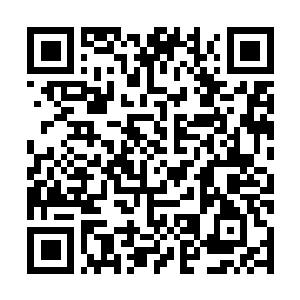 Link to your fundraiser QRCode - Fundraising